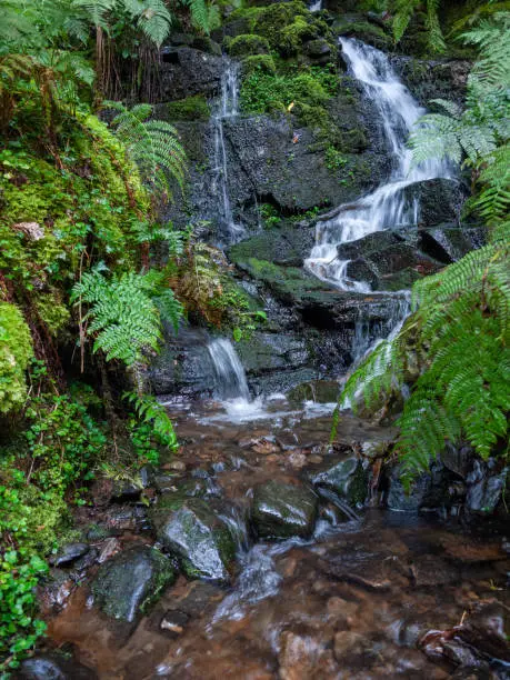 Photo of Beautiful South Wales Melincourt Falls Waterfall Rocks Wet