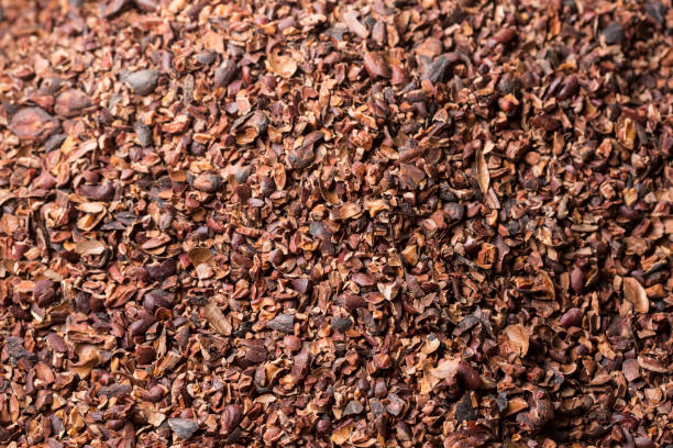 cáscara de cacao - plumín fotografías e imágenes de stock