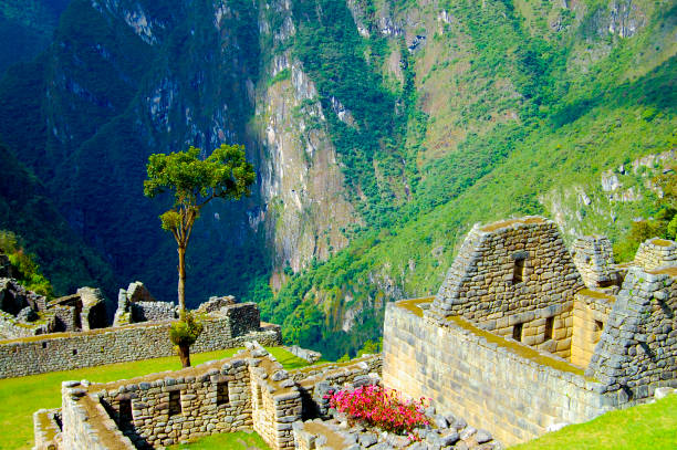 istock Machu Picchu Inca Ruins 1177853242