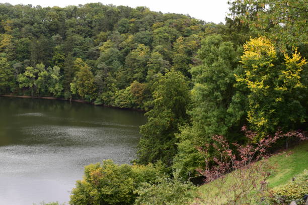 istock caldera lake Ulmener Maar in autumn 1177853317