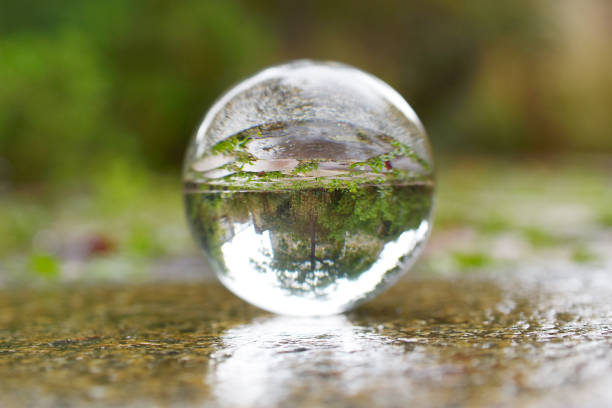 istock glass ball in garden 1177857888