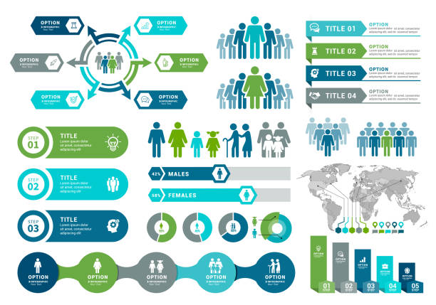 Demographics Infographic Elements Vector illustration of the demographics infographic elements human age stock illustrations