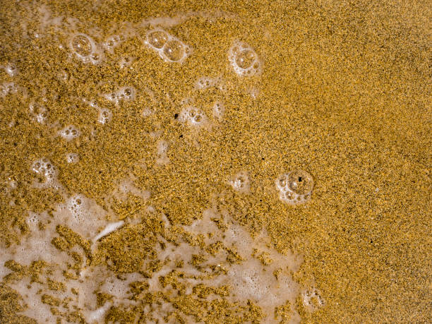 istock Golden sand and sea water bubbles 1177867687