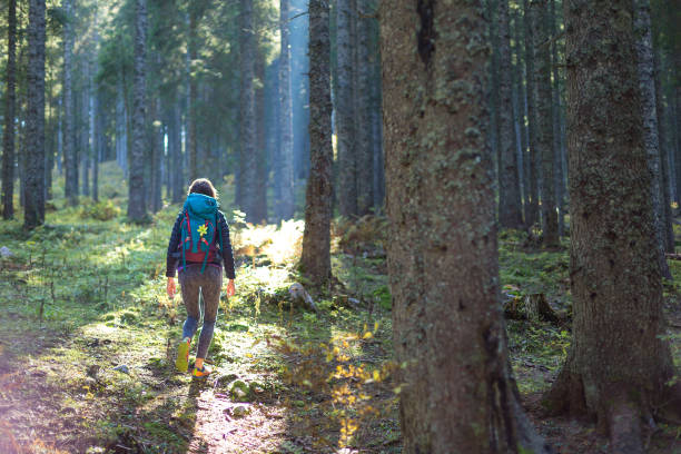 istock Hiker woman with backpack in the forest. 1177870575
