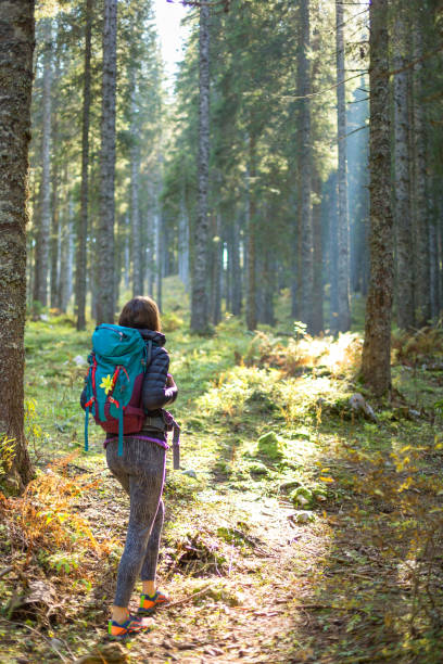 istock Hiker woman with backpack in the forest. 1177870621