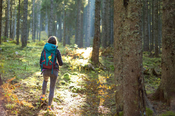 istock Hiker woman with backpack in the forest. 1177870668