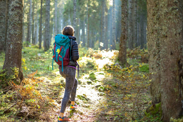 istock Hiker woman with backpack in the forest. 1177870722