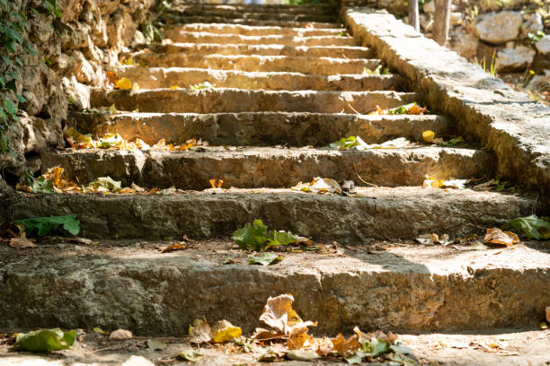 istock Stone stairs with autumn leaves at sunny day 1177872426