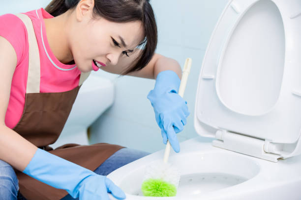istock woman brush the toilet 1177873613