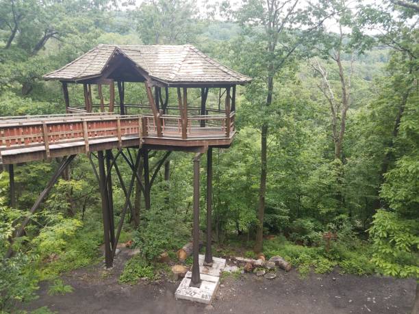 istock wooden boardwalk and treehouse in forest or woods 1177874929
