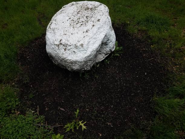 large white stone or rock and brown mulch