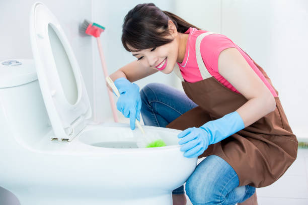 istock woman brush the toilet 1177875513