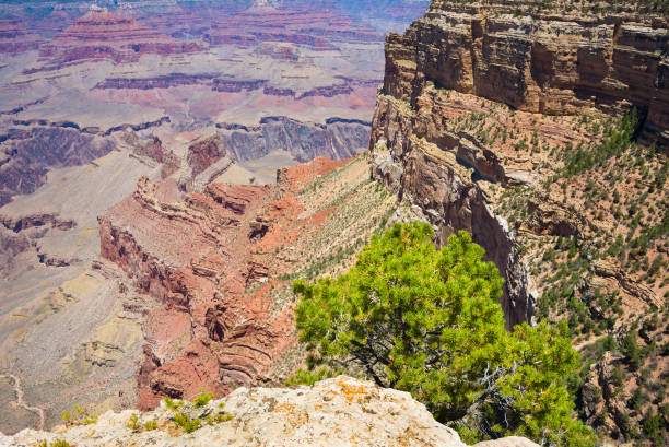 istock Great Canyon in Arizona, USA 1177875615