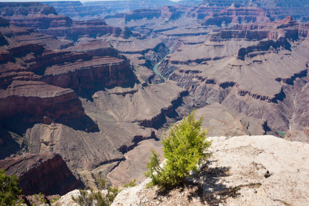 istock Great Canyon in Arizona, USA 1177875656
