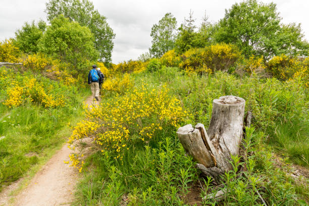 istock On the Pilgrimage way to Santiago 1177877580