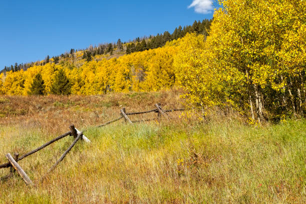 istock Scenic Landscape in Colorado 1177877968