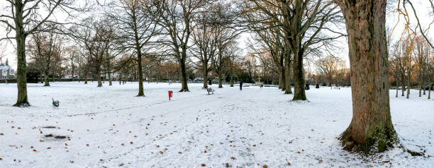 istock Panoramic view of Victoria park covered by snow 1177878593
