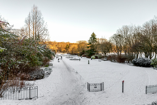 Covered with snow central alley in Seaton Park, Aberdeen, Scotland. Photo taken in the morning after unusual snowfall in December 2017.
