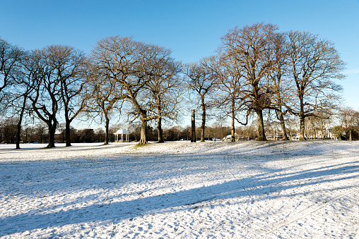 Scenic trees in the centre of Duthie park and large lawn covered by snow, Aberdeen, Scotland. Photo taken in the morning after unusual snowfall in December 2017.