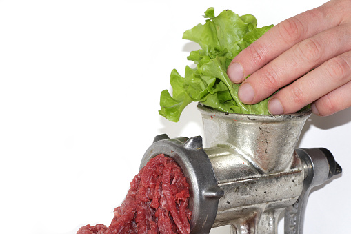 Plant-based meat concept. Green leaves of lettuce salad are inserted into the meat grinder from above by person's hand, red ground beef comes out of the meat grinder. Copy space for your text.