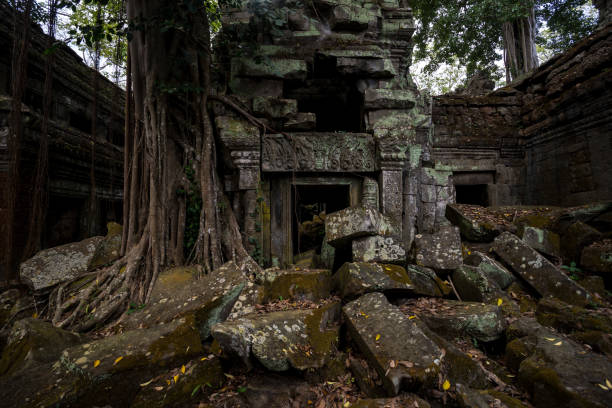 prasat ta prohm tempel, in siem reap, kambodscha - 7589 stock-fotos und bilder