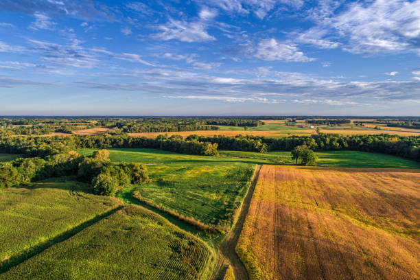 Field and Lanes An aerial drone photo over the fields and dirt road lanes in the fields during the golden light of the morning. only land stock pictures, royalty-free photos & images