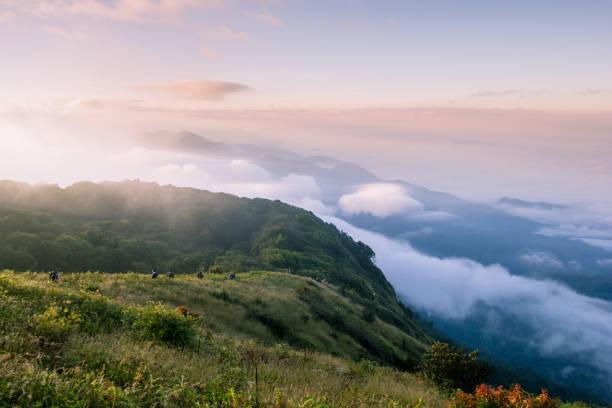 istock Kio Mae Pan Nature Trail, Doi Inthanon 1177882339