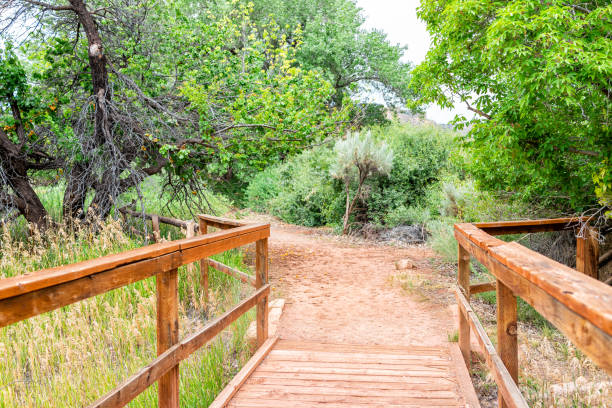 trail through orchards with wooden bridge and nobody in summer in capitol reef national monument in utah and apricot tree with fruit - 16330 imagens e fotografias de stock