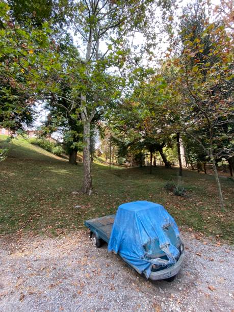 istock Old Ape Piaggio Abandoned in a Park 1177883285
