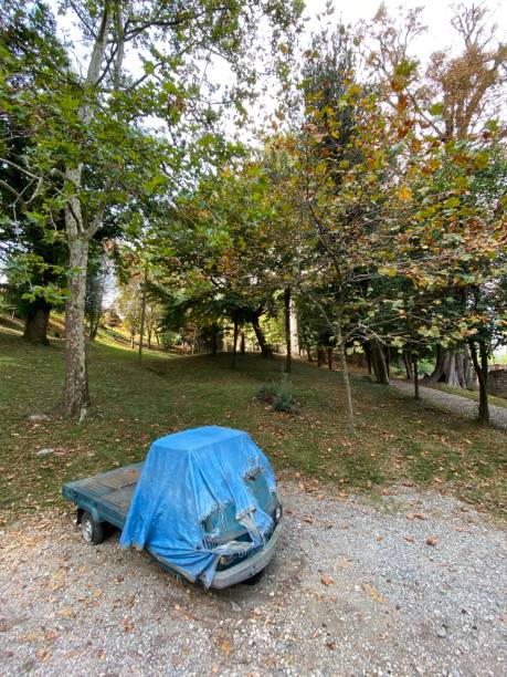 istock Old Ape Piaggio Abandoned in a Park 1177883300