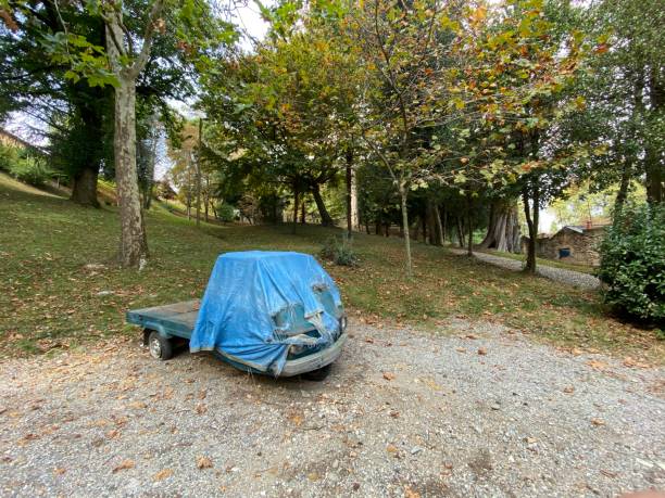 istock Old Ape Piaggio Abandoned in a Park 1177883313
