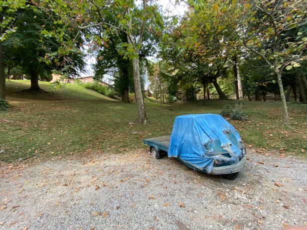istock Old Ape Piaggio Abandoned in a Park 1177883331