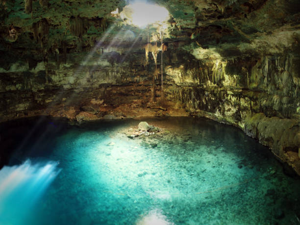 Cenote Samula in the Yucatan Peninsula Cenote Samula, a sinkhole located near Valladolid in the Yucatan Peninsula valladolid mexico photos stock pictures, royalty-free photos & images