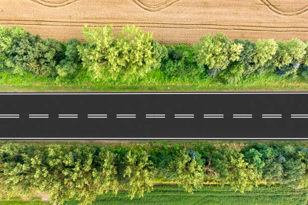 istock Aerial view of a road between yellow wheat fields and green trees. 1177886731