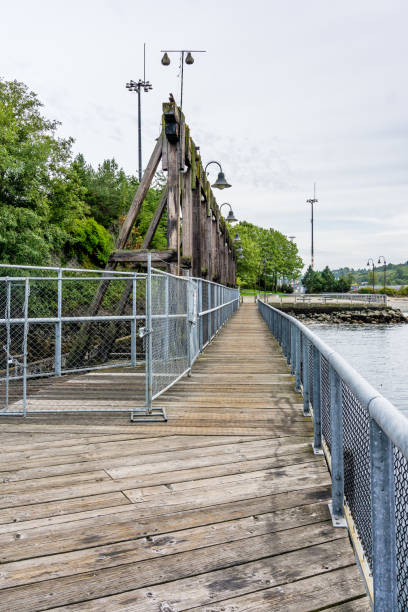 istock Wooden Pier Walkway 1177887650