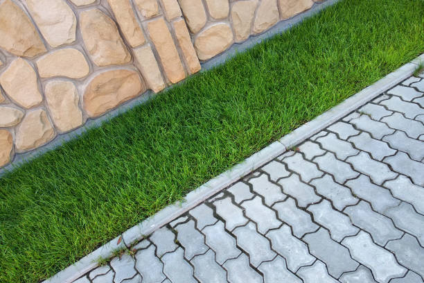 istock Sidewalk paved with cement bricks and lawn with green grass. 1177889326