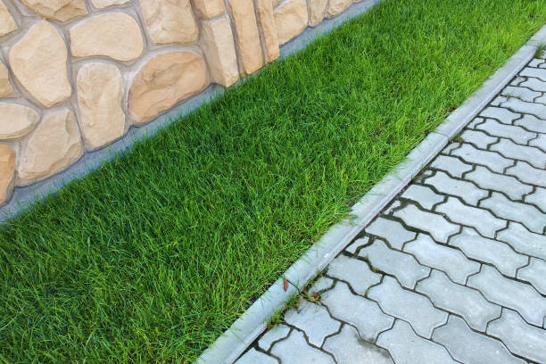 istock Sidewalk paved with cement bricks and lawn with green grass. 1177889337