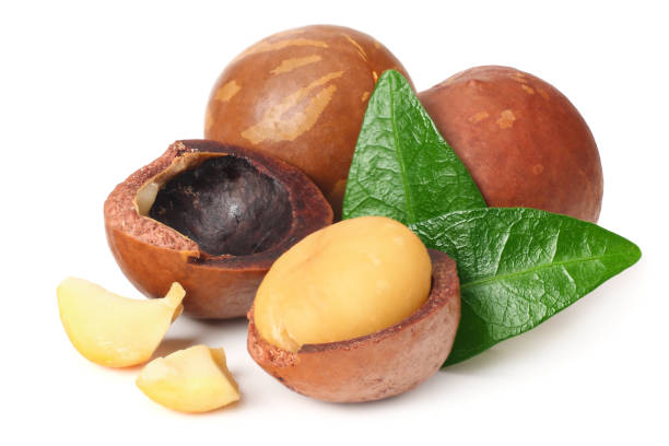 istock Macadamia nut with pieces and green leaves isolated on a white background 1177893339