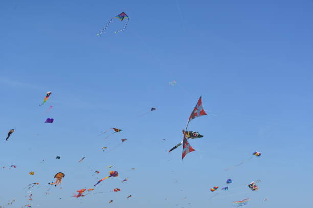istock Skyfull of Kites 1177894054