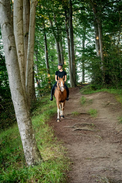 istock Horse riding at Moens Klint in Denmark 1177894215