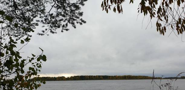 istock Trees by the water in autumn at dusk. 1177894354