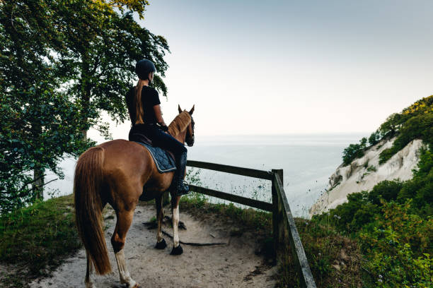 The sun sets over the farm as horse and rider make their way back from a riding lesson.