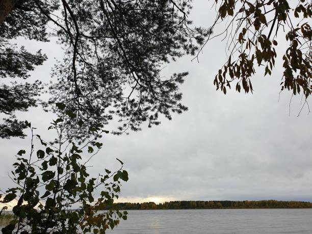 istock Trees by the water in autumn at dusk. 1177894391
