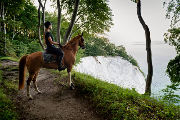 istock Horse riding at Moens Klint in Denmark 1177894465