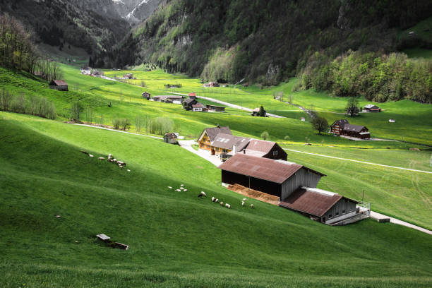 Farms, Homes and Pastures in the middle of the Austrian Alps. Nikon D850. Converted from RAW.
