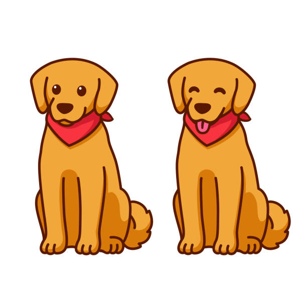 Cartoon Golden retriever Cartoon Golden retriever drawing with red bandana. Friendly dog sitting with tongue out. Cute pet labrador vector illustration. retriever stock illustrations