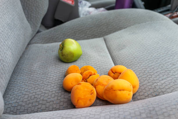 récolte d'abricots de fruits jaunes orange mûrs et de pomme verte sur le siège passager de la voiture comme casse-croûte sur le voyage de route avec personne - 16312 photos et images de collection