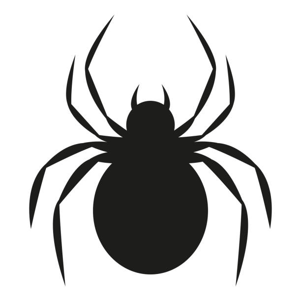 Black Widow Spider Stock Illustrations Royalty Free Vector Graphics