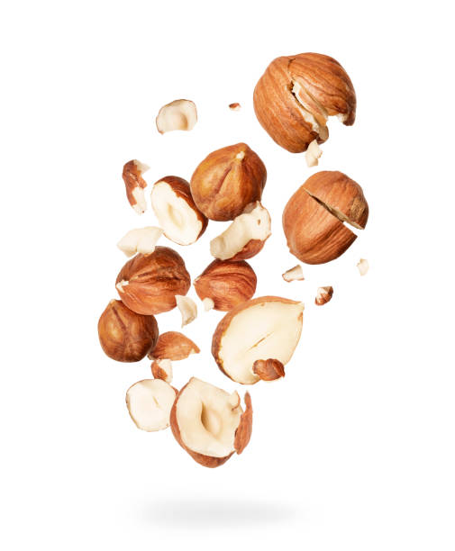 istock Crushed hazelnuts in the air isolated on a white background 1177898960