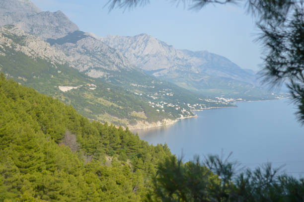 istock Adriatic Sea coast 1177900063